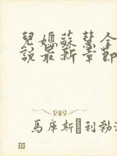 儿媳苏慧全本小说最新章节