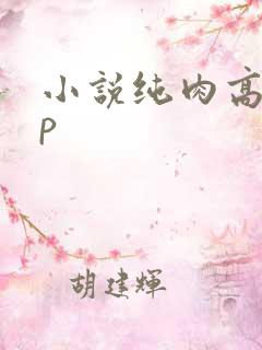 小说纯肉高hnp