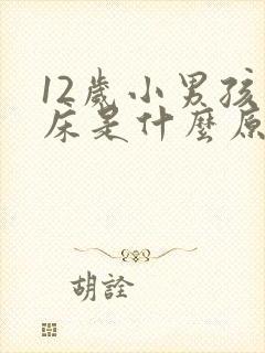 12岁小男孩尿床是什么原因