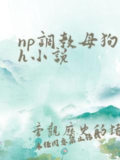 np调教母狗高h小说