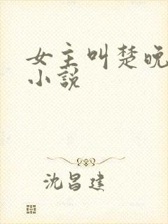 女主叫楚晚宁的小说