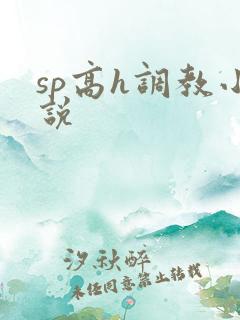 sp高h调教小说