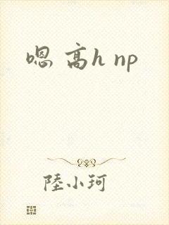 嗯 高h np