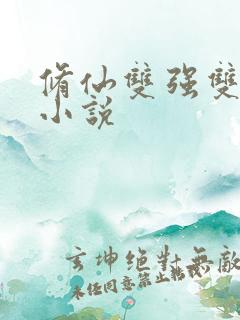 修仙双强双男主小说