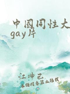 中国同性大尺度gay片