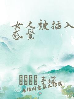 女人被插入是啥感觉