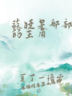 苏晓是哪部小说的主角