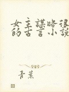 女主谋略很厉害的古言小说