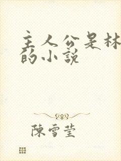 主人公是林小雨的小说