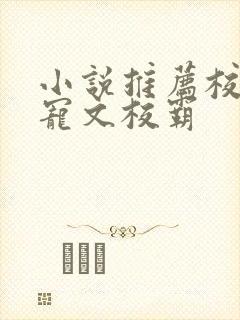 小说推荐校园甜宠文校霸