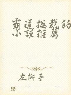 霸道总裁的虐心小说推荐