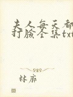 夫人每天都在线打脸全集txt