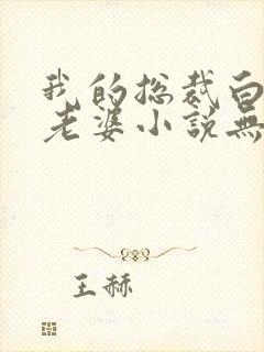 我的总裁白富美老婆小说无广告