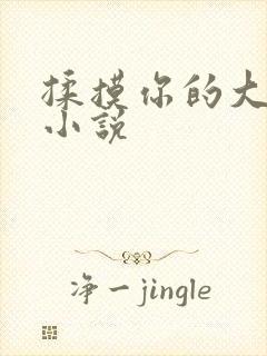 揉摸你的大奶子小说