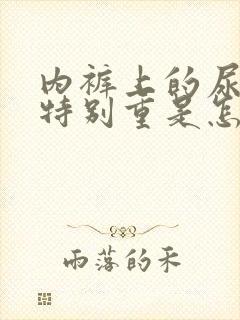 内裤上的尿骚味特别重是怎么回事