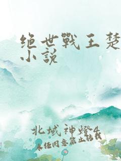 绝世战王楚凌天小说