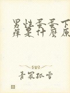 男性蛋蛋下面瘙痒是什么原因