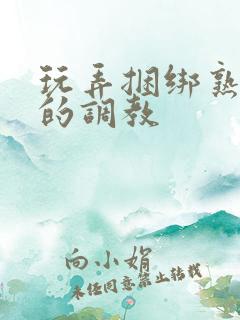 玩弄捆绑熟妇岳的调教