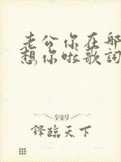 老公你在哪老婆想你啦歌词