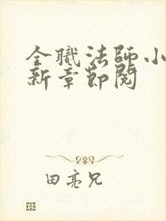 全职法师小说最新章节阅