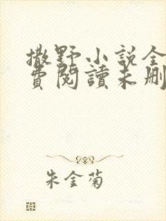 撒野小说全文免费阅读未删减版