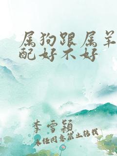 属狗跟属羊的婚配好不好