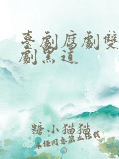 台剧腐剧双男主剧黑道