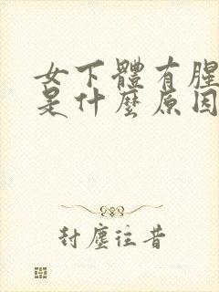 女下体有腥臭味是什么原因