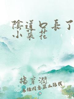 阴道口长了一排小菜花