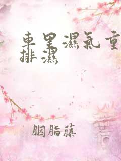 车里湿气重怎么排湿