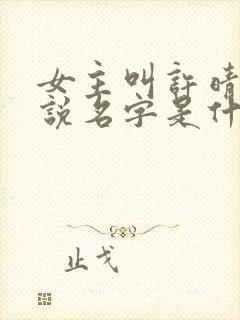 女主叫许晴的小说名字是什么