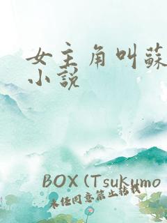 女主角叫苏月的小说