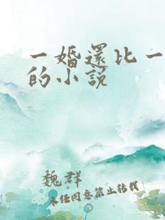 一婚还比一婚高的小说