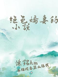 绝色娇妻的秘密 小说