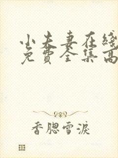 小夫妻在线观看免费全集高清完整