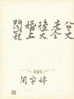 闪婚后老公每天宠上天全文免费阅读