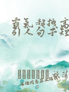 霸气超拽高冷吸引人句子短句