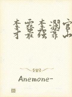 李霖李澜官场奇才最强靠山竟是我自己