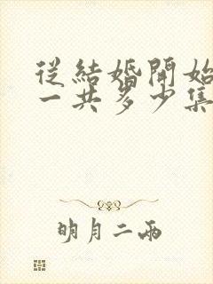 从结婚开始恋爱一共多少集