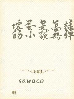 坏蛋是怎样炼成的小说无弹窗无广告