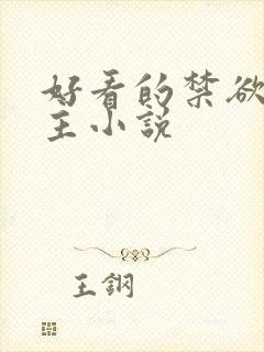 好看的禁欲系男主小说