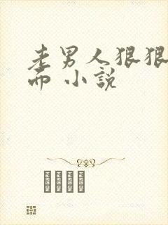 老男人狠狠插下面 小说