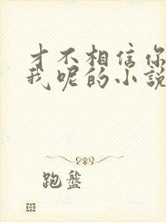 才不相信你暗恋我呢的小说