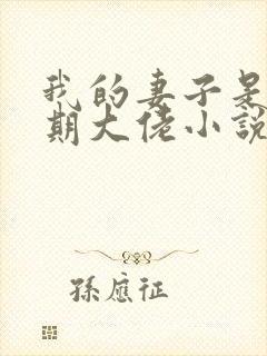 我的妻子是大乘期大佬小说完整版大结局