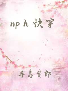 np h 快穿