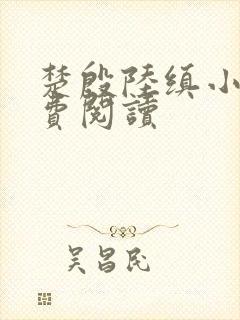 楚殷陆缜小说免费阅读