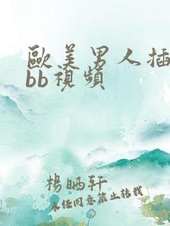 欧美男人插女人bb视频