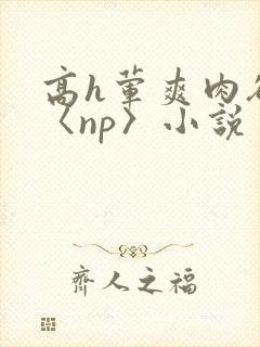 高h荤爽肉欲文〈np〉小说