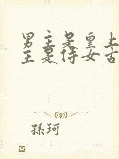 男主是皇上 女主是侍女古言