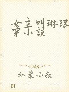 女主叫琳琅的快穿小说